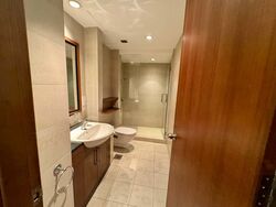 Emerald Hill Conservation Area (D9), Terrace #496535781